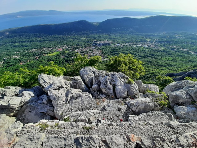 Warum wandern & Yoga?