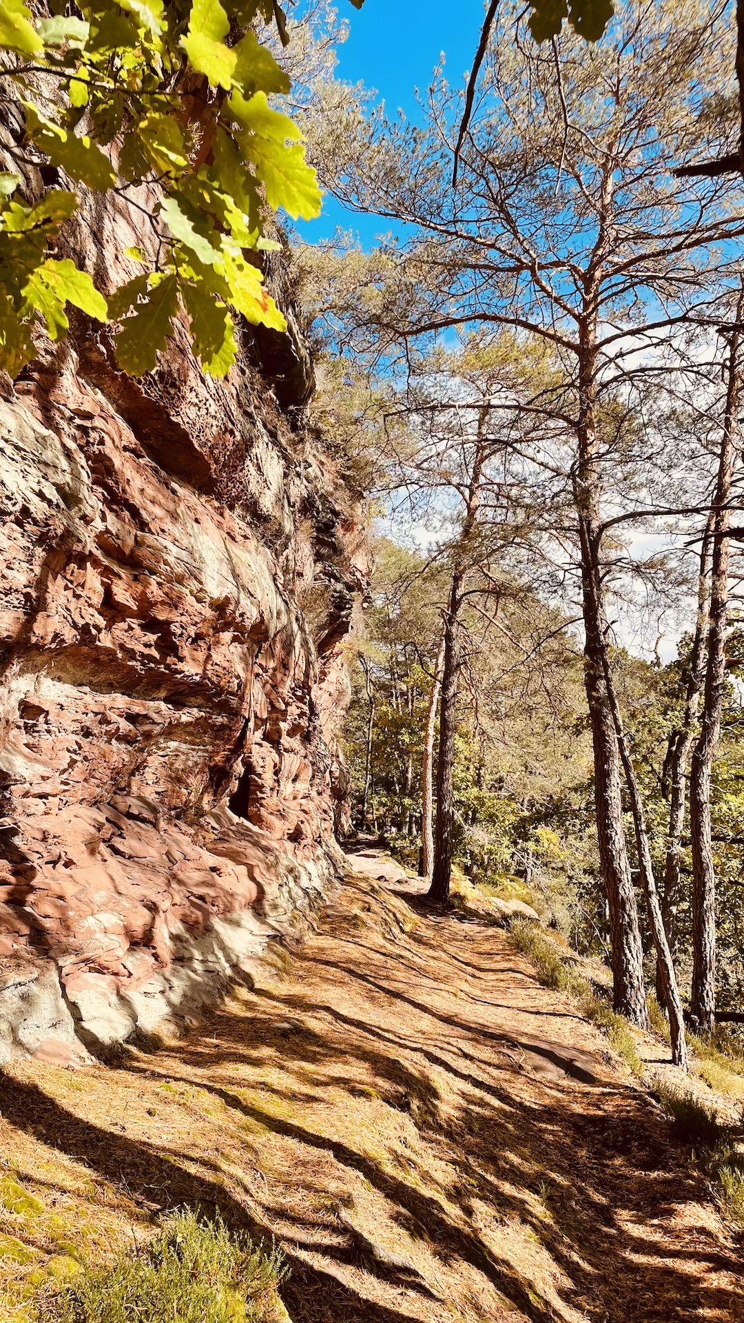 Reise4.2 Angebot - Kakao Zeremonie