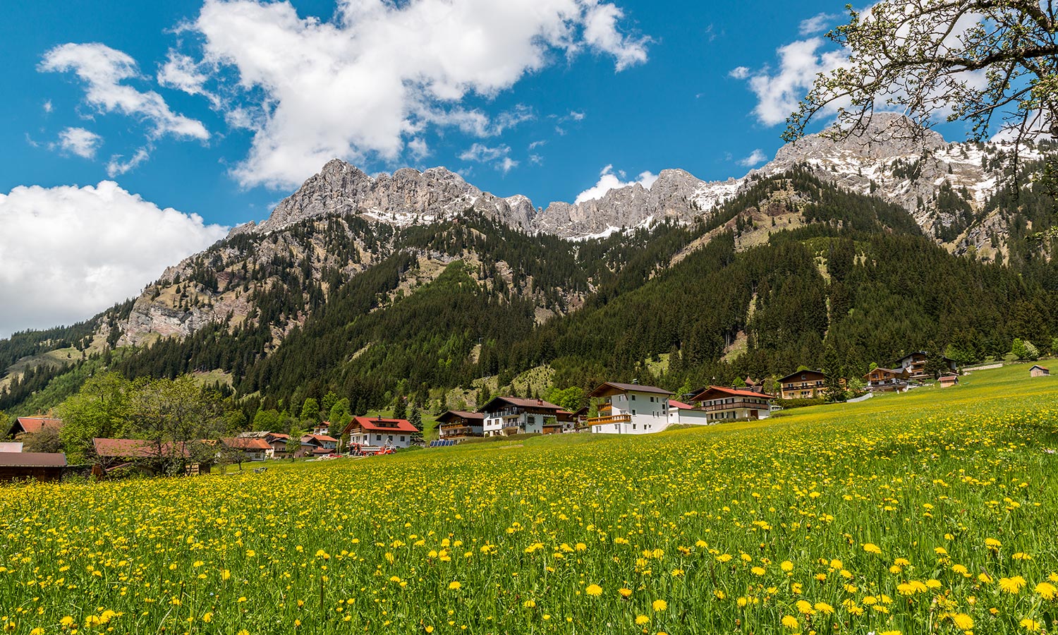 Reise5.2 Angebot - Kakao Zeremonie