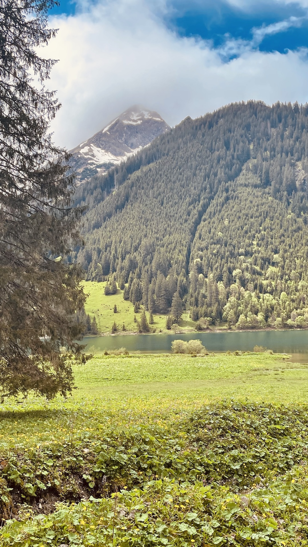 Reise5.5 Warum wandern & Yoga?