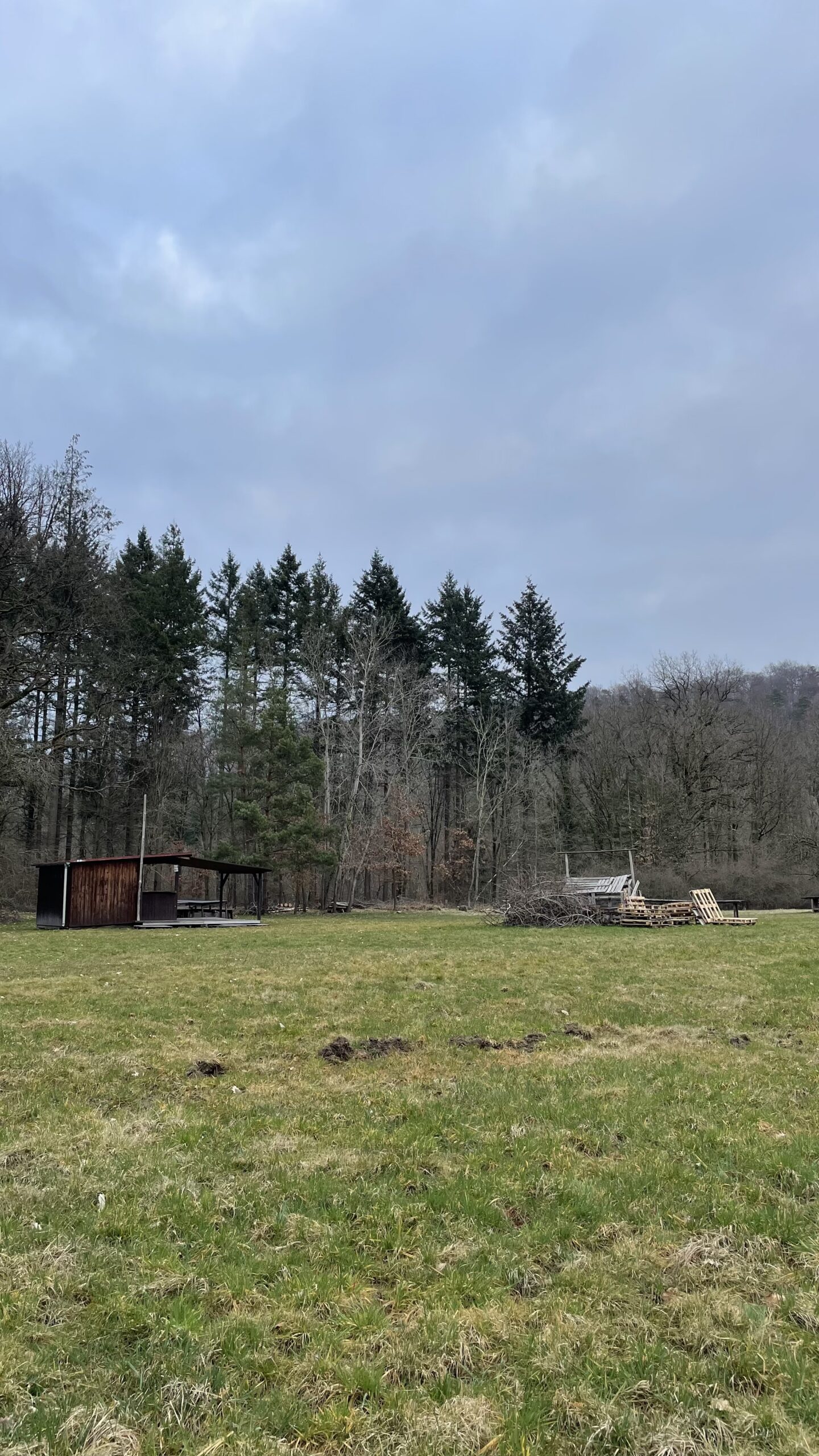 IMG_0543 Hike & Yoga für Murmeltiere in Nesselwängle