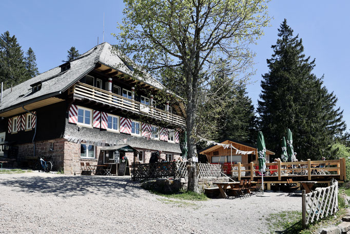 Warum wandern & Yoga?
