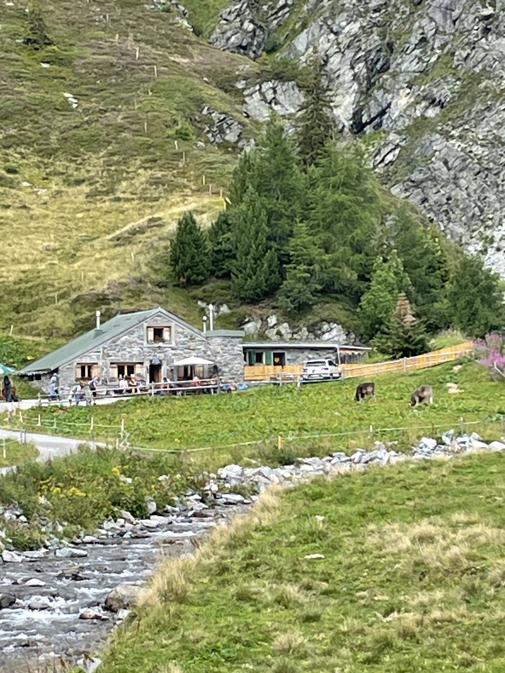 Warum wandern & Yoga?